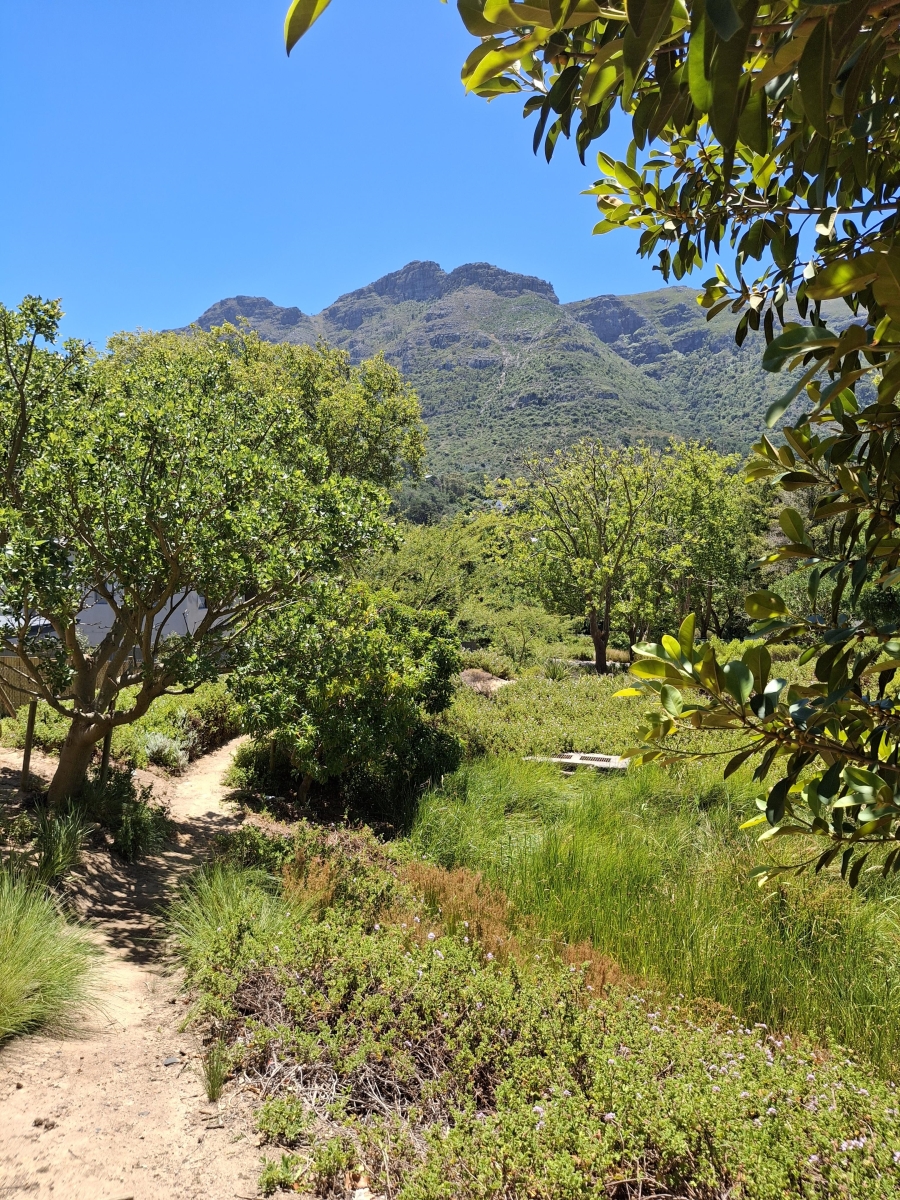 4 Bedroom Property for Sale in Bokkemanskloof Western Cape